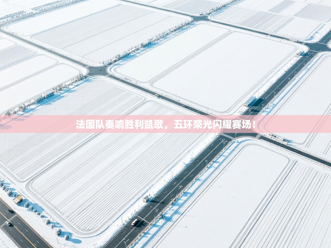 法国队奏响胜利凯歌，五环荣光闪耀赛场！  第2张