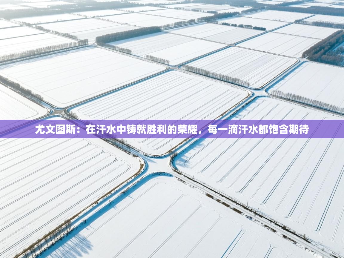 尤文图斯：在汗水中铸就胜利的荣耀，每一滴汗水都饱含期待  第2张